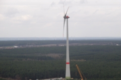 Windpark Feldheim